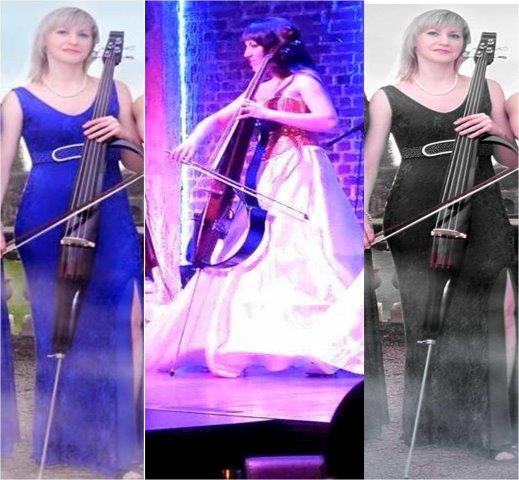 cello artists belgaum